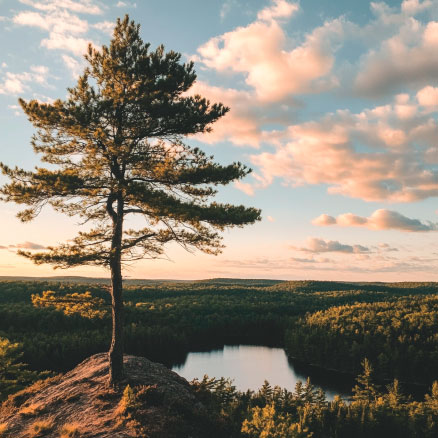 Algonquin Debt Strategies Fund